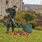Gardener raking fallen autumn leaves beside borders in a sandstone terrace garden