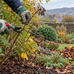 Gloved hands prune a shrub above a mulched autumn border as fallen leaves are cleared.